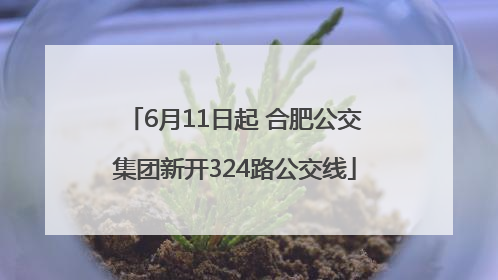 6月11日起 合肥公交集团新开324路公交线