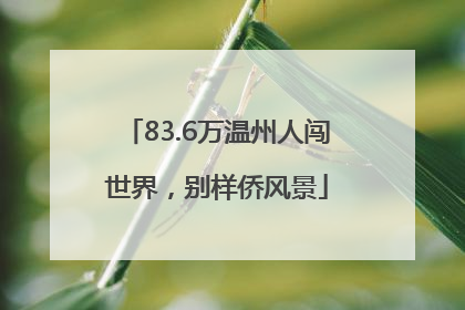 83.6万温州人闯世界，别样侨风景