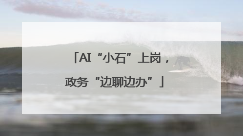 AI“小石”上岗，政务“边聊边办”