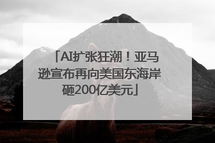 AI扩张狂潮！亚马逊宣布再向美国东海岸砸200亿美元