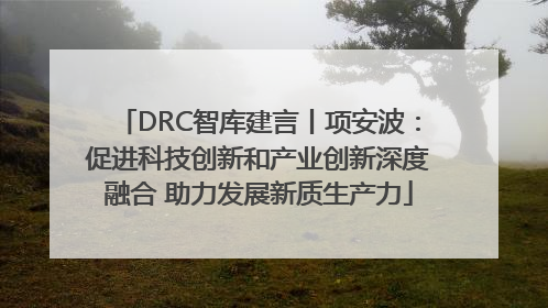 DRC智库建言丨项安波：促进科技创新和产业创新深度融合 助力发展新质生产力