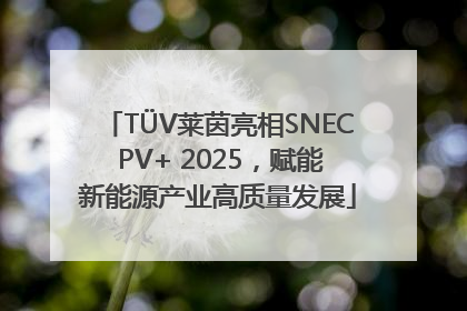 TÜV莱茵亮相SNEC PV+ 2025，赋能新能源产业高质量发展