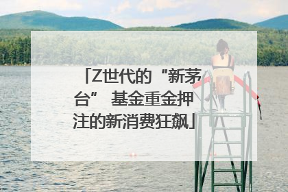 Z世代的“新茅台” 基金重金押注的新消费狂飙
